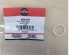 Slika od prsten brtve usisa Briggs & stratton