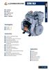 Slika od LOMBARDINI 9LD 625-2 motor