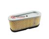 Slika od Filter zraka traktor Briggs 15,0 KS