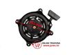 Slika od Starter poteznica Briggs Quantum 5,5 KS