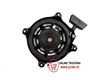 Slika od Starter poteznica Briggs Quantum 5,5 KS